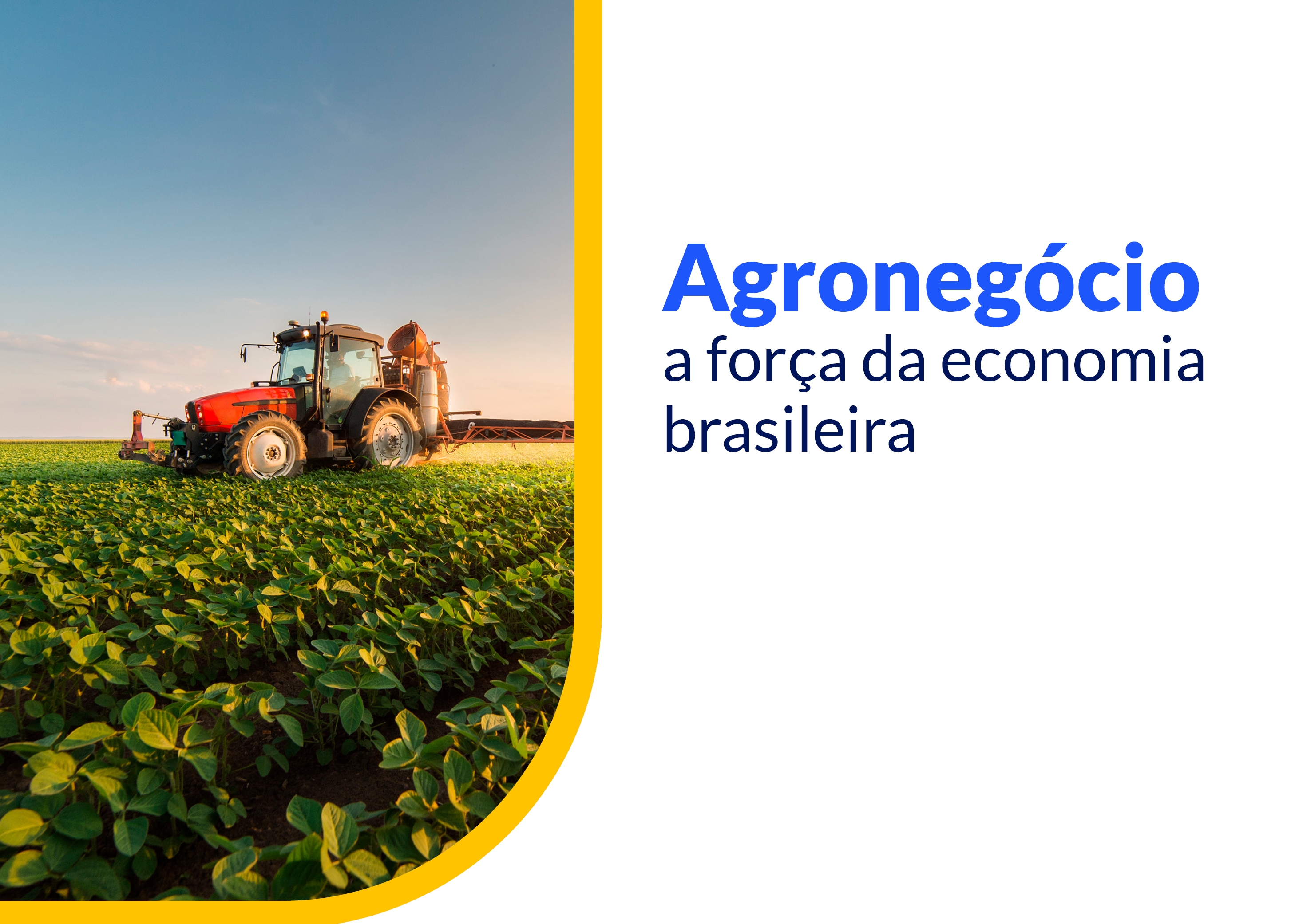 Agronegócio a força da economia brasileira